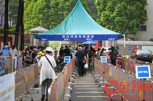 清明假期首日廣州逾12萬人現(xiàn)場(chǎng)祭掃,無煙拜祭鮮花拜祭成新風(fēng)尚
